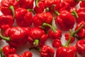 Trinidad moruga scorpion peppers Royalty Free Stock Photo