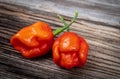 Trinidad Moruga scorpion pods on a wood rustic table