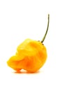 Yellow Habanero