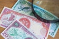 Trinidad and Tobago dollars under the magnifier