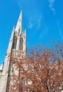 Trinity Church and a tree in Wall Street, the financial district of New York City Royalty Free Stock Photo