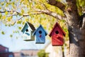 a trio of birdhouses on a tree