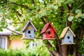 a trio of birdhouses on a tree