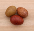 A Trio of Speckled Chicken Eggs Royalty Free Stock Photo