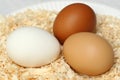 Trio of Eggs Royalty Free Stock Photo