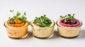 Trio of Gourmet Hummus Varieties Garnished and Served in Glass Jars