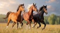 Three Horses Galloping in Golden Field