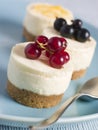 Trio of Individual Cheesecakes