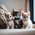 A trio of kittens with colorful collars, cuddled up together in a cozy nest4