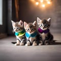 A trio of kittens with colorful collars, cuddled up together in a cozy nest3