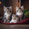 A trio of kittens with colorful collars, cuddled up together in a cozy nest1