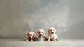 Trio of Labrador Puppies Ready for Mealtime Against Cream-Colored Wall with Copy Space Generated by AI