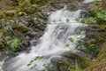 Lower Gordon Falls, White Mountain National Forest, New Hampshire Royalty Free Stock Photo