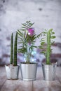 Trio of pretty houseplants in metal pots with peeled brick