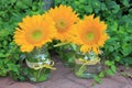 Trio of Sunflower Arrangements