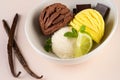 Trio of tasty chocolate vanilla and lime flavored frozen dessert in a white bowl.