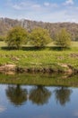 Trio of trees next to the River Ribble Royalty Free Stock Photo