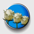 Trio of white roses over blue metallic border