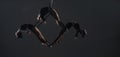 Trio of young female acrobats posing on a cube suspended at a height. Aerial gymnasts perform in studio against dark