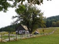 Trip in Cheile Gradistei, Romania