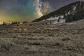 Trip of goats grazing on a field under the Milky Way