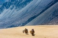 Trip in the sand dunes of Nubra Valley, Ladakh Royalty Free Stock Photo