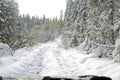 A trip through the Siberian forest Taiga in the evening, on an off-road car. A little snow passed.