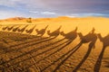 Trip to the interior of the desert in Morocco