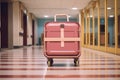 Trip traveler baggage Royalty Free Stock Photo