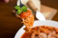 Tripe with tomato sauce called trippa alla romana, a typical dish from Lazio on wooden table