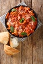 Tripe in tomato sauce with Pecorino cheese, mint close-up in a plate. vertical top view