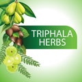 Triphala Herbs organic ayurvedic herbs for medicine