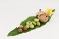 Triphala (thai name) as well as the fruit of three medicines.