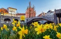 Triple bridges and Franciscan church with yellow flowers in the foreground on bright sunny day, Ljubljana, Slovenia Royalty Free Stock Photo