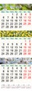 Triple calendar for March April and May 2017 with images