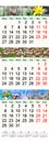 Triple calendar for March April and May 2017 with pictures