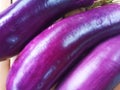 Closeup of Triple Eggplants on Bamboo Surface