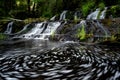 Triple Falls near Parksville, Vancouver Island, BC Canada Royalty Free Stock Photo