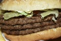 Triple meaty delicious hamburger with nice fries Royalty Free Stock Photo