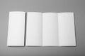 Triple paper brochure mockup. White folder template