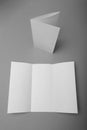 Triple paper brochure mockup. White folder template