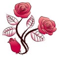 Triple rose flowers tattoo