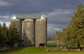 Triple Silver Silos and Black Cow