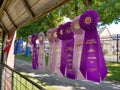 Triple Streamer Rosette Ribbons Awarded at a County Fair Royalty Free Stock Photo