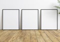 Triple 8x10 Vertical Black Frame mockup with green plant on wooden floor and white wall Royalty Free Stock Photo