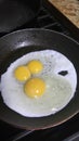 Triple yolk egg in frying pan breakfast funny never seen that health