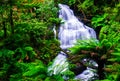 Triplet falls otway australia Royalty Free Stock Photo