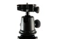 Tripod ball head