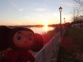 Trips through Spain with Cheburashka