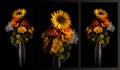Triptych of flowers in a silver vase isolated against a black background
